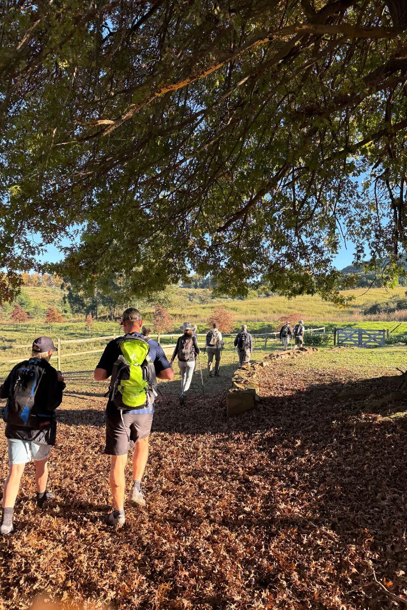 Midlands Camino Walkers under tree